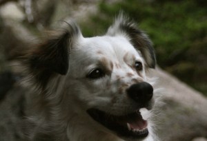 IMG_8954