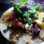 Blue Mexican Taco: 12F & Cooking.