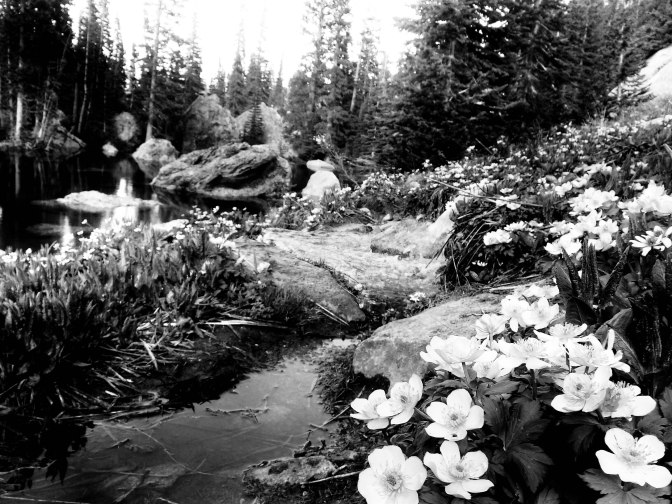20140628_182949_1-2